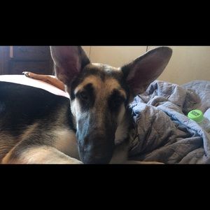 Meet your Posher, Kiley